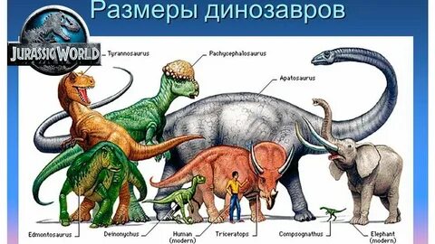 Рост динозавров