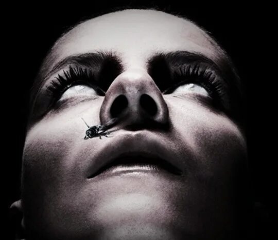 Демоны внутри 2023. Демон внутри фильм 2016 триллер. Демон внутри стивен кинг. Демоны внутри 2023. Демоны внутри 2023.