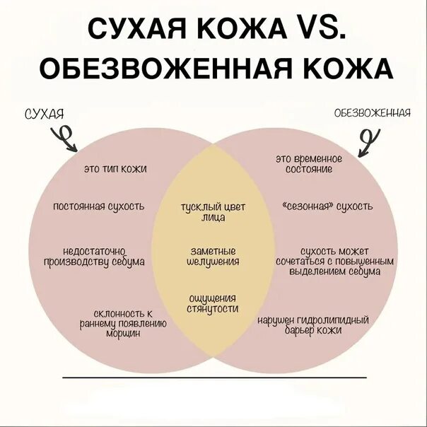 Как отличить сухой. Различия сухой и обезвоженной кожи. Сухая обезвоженная кожа. Чем отличается сухая кожа от обезвоженной. Разница сухой и обезвоженной кожи лица.