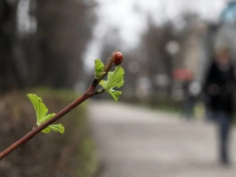 В апреле потеплеет