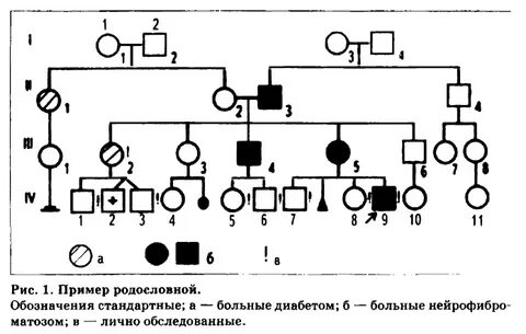 Схема родословной генетика