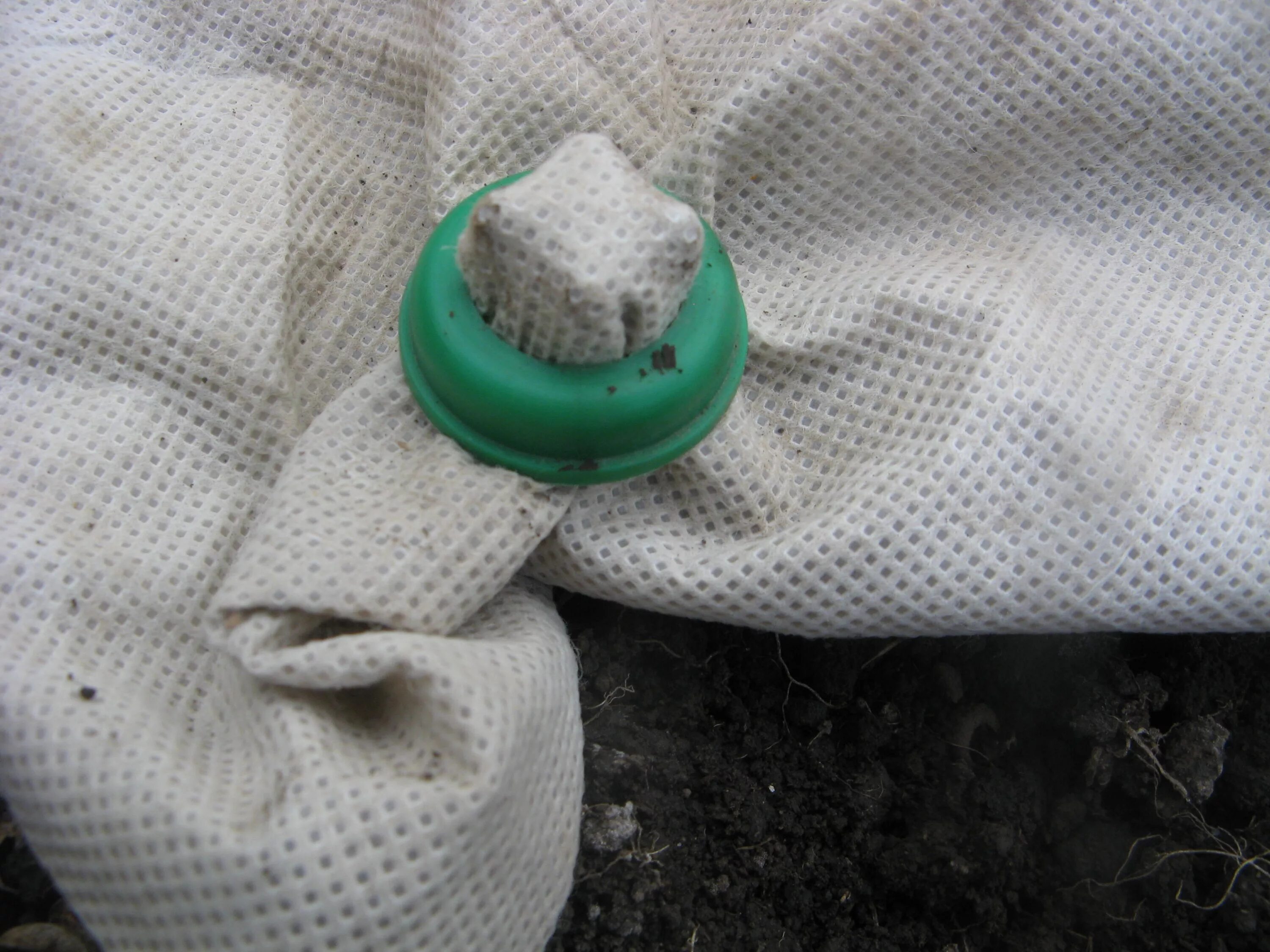 Анкер для крепления агротекстиля. Крепление вагонки штиль. Крепление дюбель молли металлическая для гкл. Дюбель driva pna 8х35для гипсокартона с шурупом 200шт 44746. Деревянная теплица с укрывным материалом.