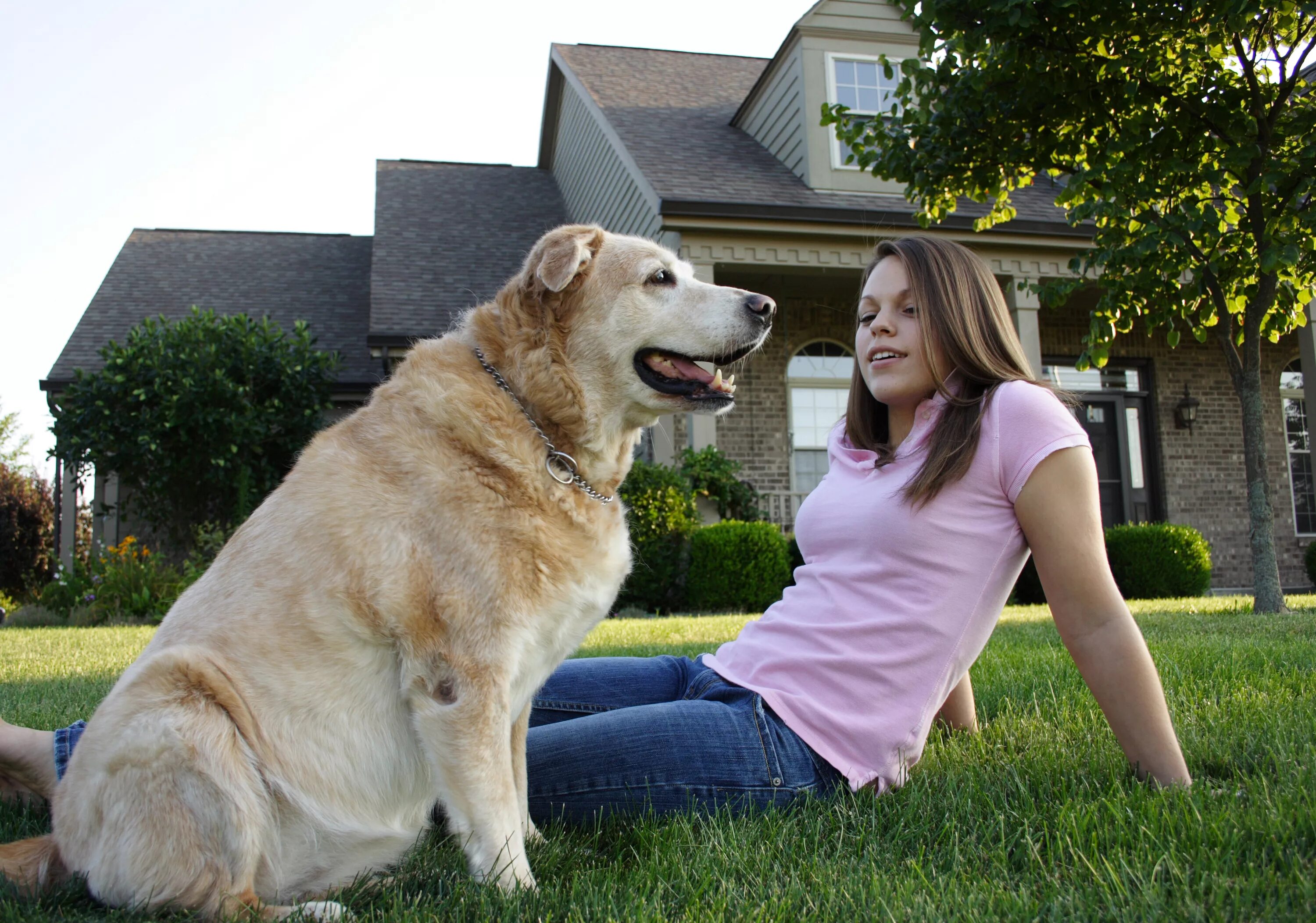 Dog has woman. Woman with Dog. Ladies pictures with Dogs. Old woman with Dog. Girl giving food to a Dog.