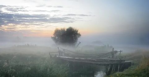 Началось в деревне