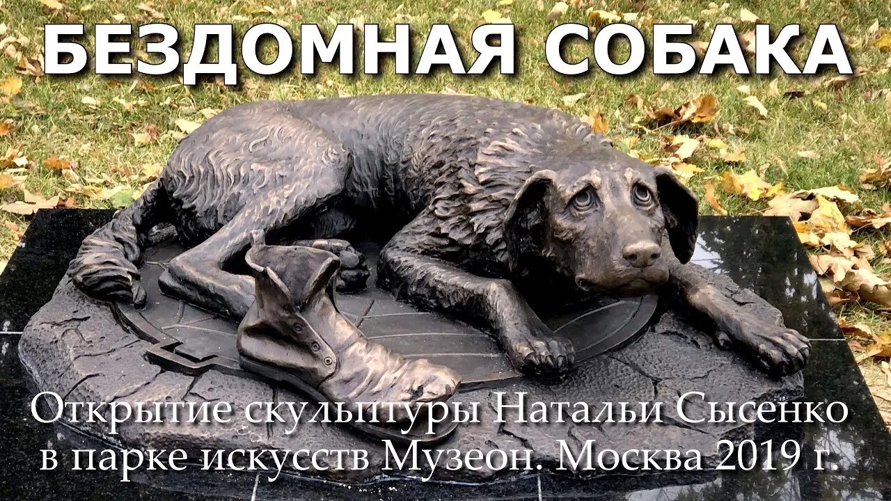 Памятник бездомным животным. Памятник бродячей собаке в парке музеон в москве. памятник бездомным животным музеон. памятник бездомной собаке в москве музеон. памятник бездомным животным в парке музеон.