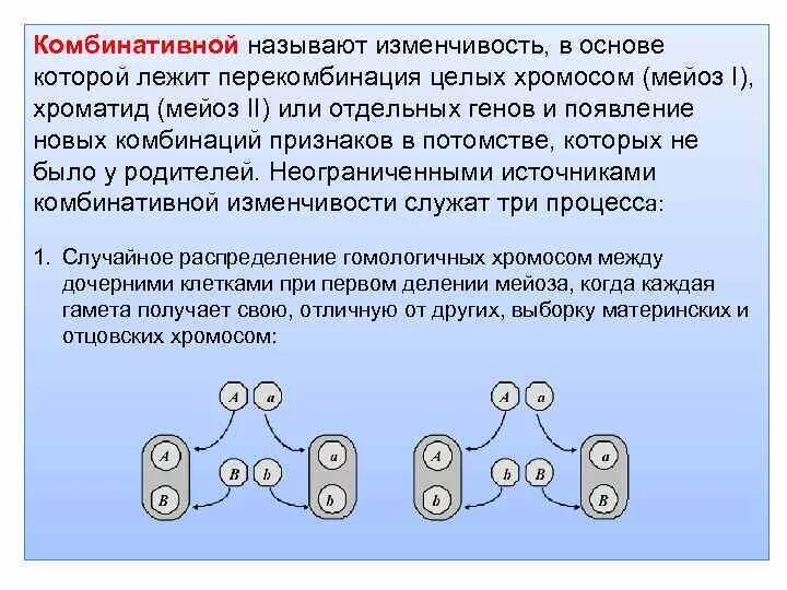 Комбинативная изменчивость в основе. Комбинативная изменчивость источники. Что лежит в основе комбинативной изменчивости. Источники комбинативной изменчивости. Перекомбинация генов в мейозе