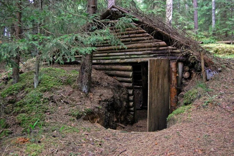 Землянка блиндаж. Брянский лес. Партизанская землянка. Землянка избушка. Землянка в лесу блиндаж. А в землянке людоед