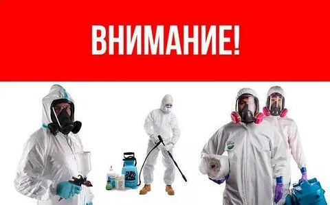 Группа дезинфекция