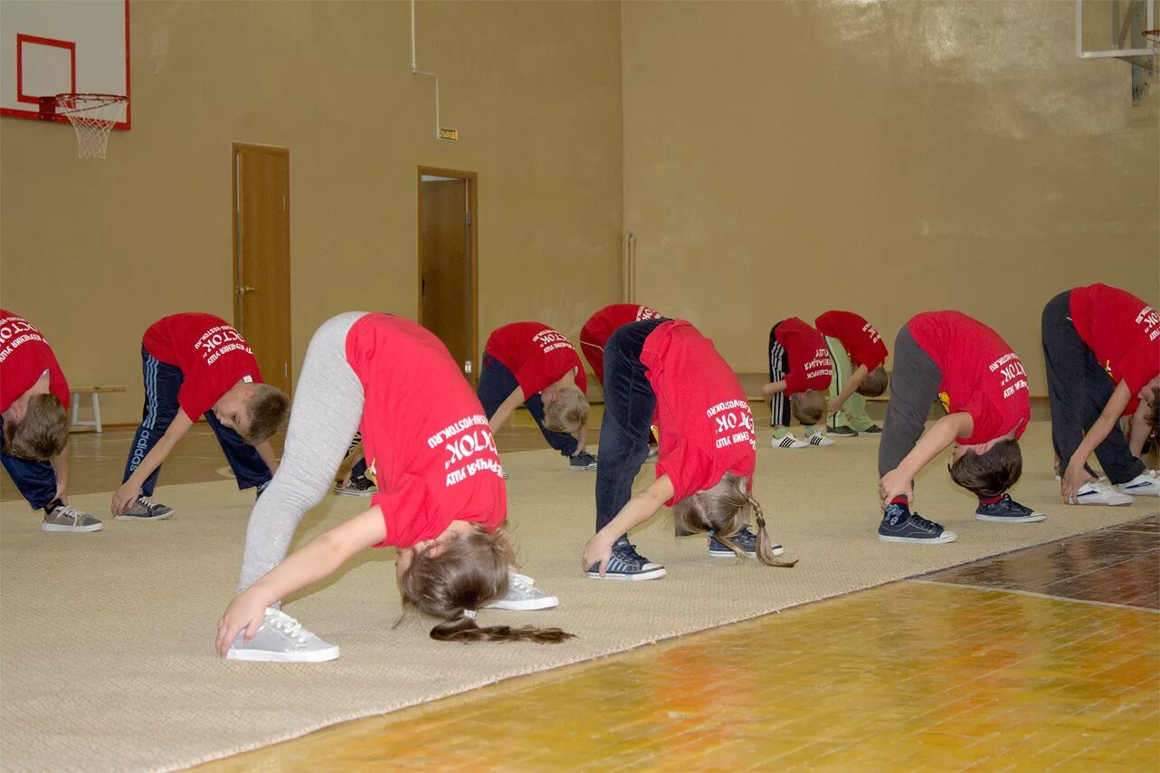 Спортивные занятия. Физическое воспитание студентов. Теннис офп сфп. Общефизическая подготовка. Офп.