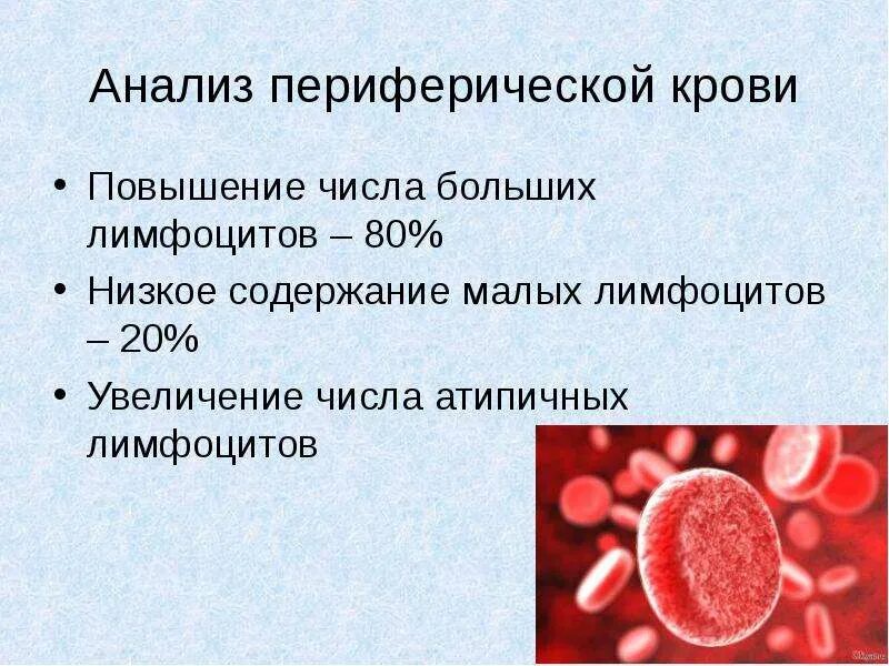Изменения состава периферической крови таблица Ответы : Откуда берутся эритробласты, миелоциты, кл. предшественники, и д