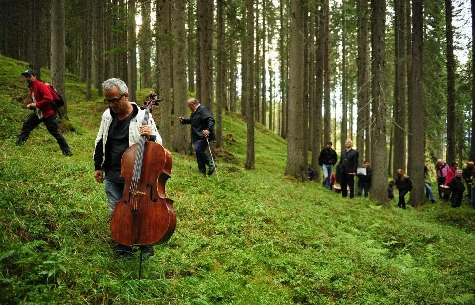 Лесная музыка слушать. Оркестр в лесу. Шумный лес. Звук в лесу. Музыкальный лес.