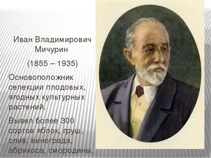Мичурин ученый