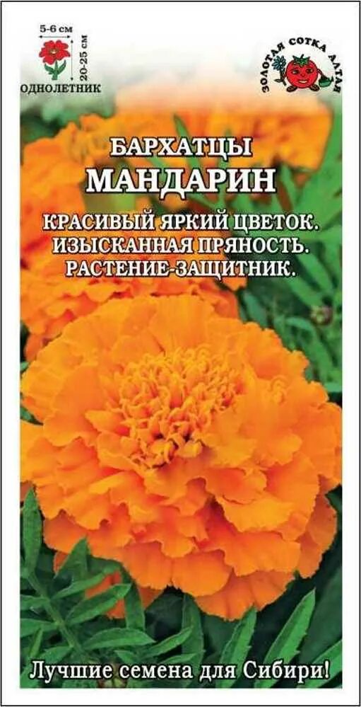 Бархатцы мандарин семена. Бархатцы мандарин семена Алтая. Бархатцы Бонита смесь откл 0,2г ЦП/сотка, шт. Бархатцы мандарин семена фото. Бархатцы мандарин