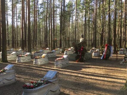 В сосновке нашли