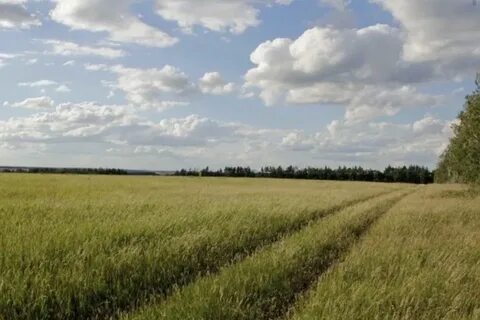 Зу сельхозназначения