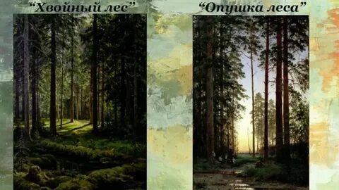 Опушка леса 2 класс
