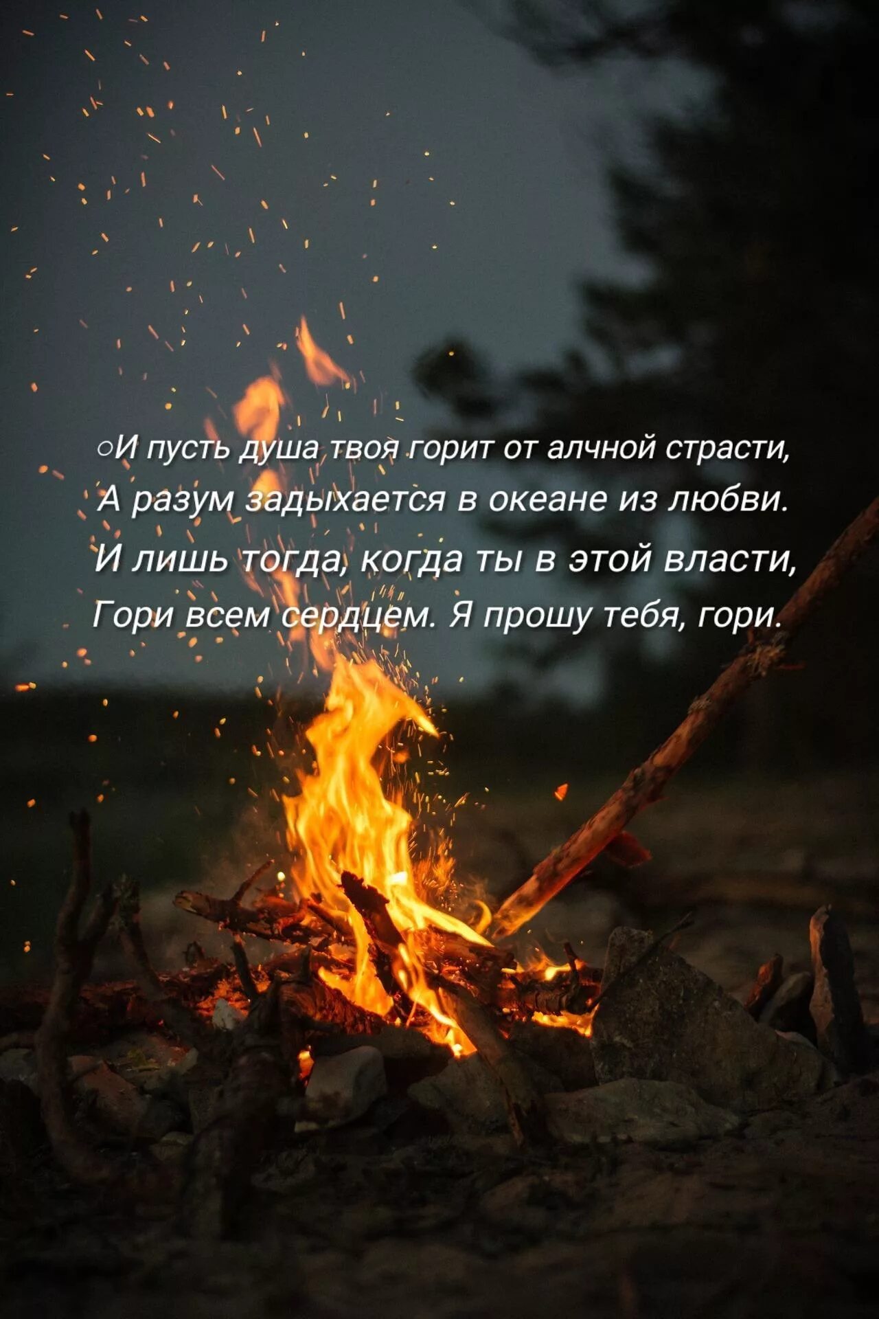 Песня пусть твоя душа