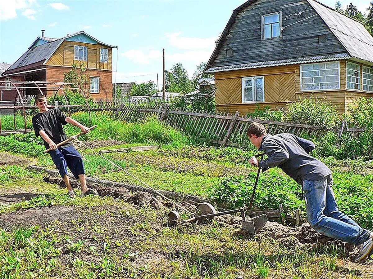 Работаем на дачном участке. Дачник на огороде. Пахать на даче. Огород в деревне пашут землю. Домик в деревне с огородом.