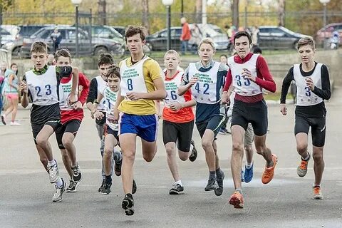 Кинешма спортивная