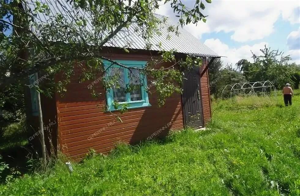 Деревня ягодное. Ягодное нижегородская область богородский район. деревня ягодное калужская область. деревня ягодное нижегородская область богородский район.
