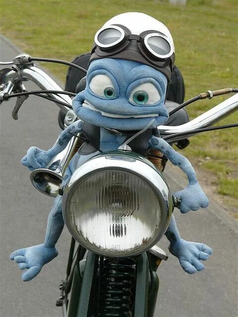Лягушка на мотоцикле клип. Лягушка на мотоцикле. Инопланетянин на мотоцикле. Лягушонок на мотоцикле. Лягушка на мопеде.