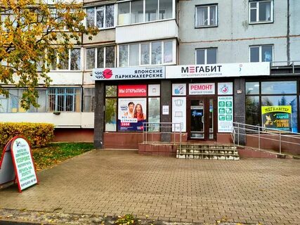 Хамелеон брянск