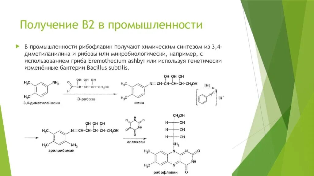 Синтез витамина б. Микробиологический Синтез витамина в12. Биосинтез витамина в12 схема. Синтез рибофлавина формула. Биосинтеза витамина в2 микробиологический.