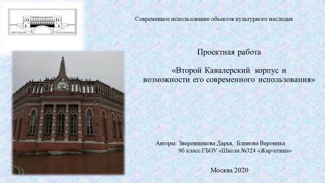 Социально культурный проект это