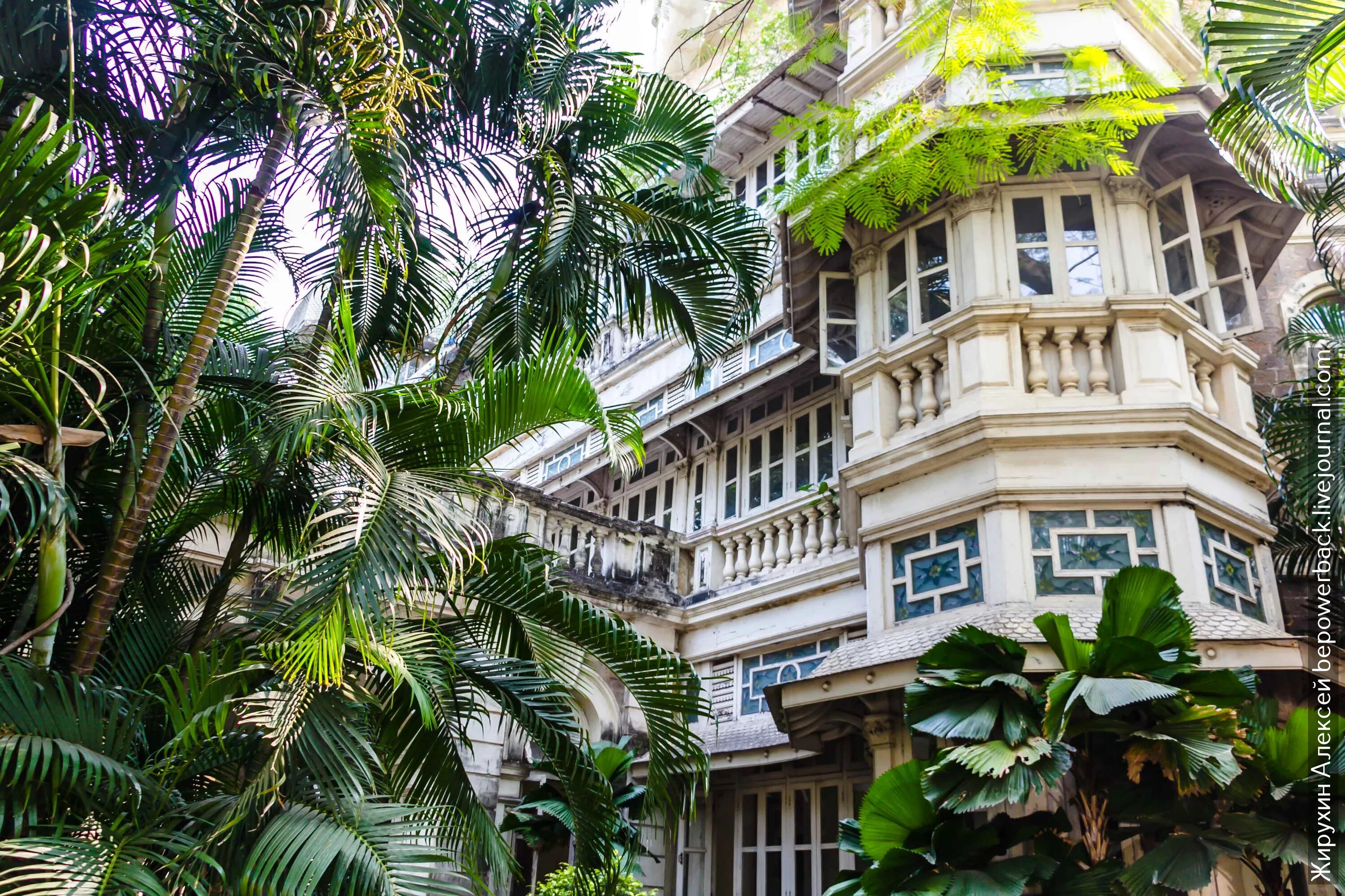 Трущобы в индии 2022. Индия богатые районы мумбаи. Богатые районы индии. Богатые районы индии. Индия нью дели жилые кварталы.