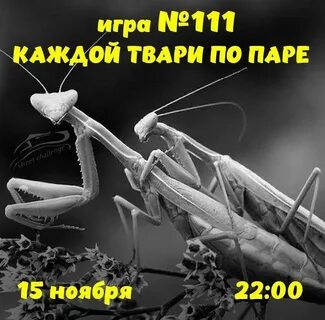 Каждой тваре по паре