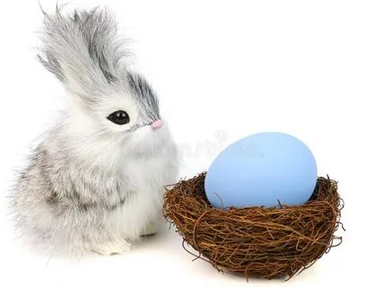 Rocky rabbit ester eggs