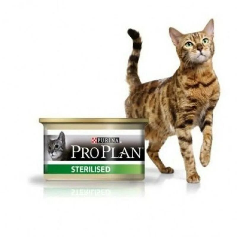 Pro plan sterilised влажный. Пурина Проплан консервы для кошек. Purina Pro Plan для кошек паштет. Проплан для кошек стерилизованных влажный консервы. Pro Plan для стерилизованных кошек консервы.