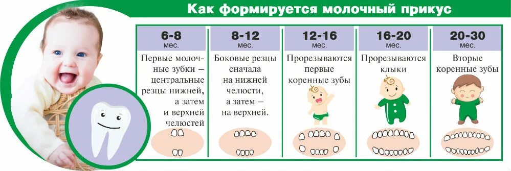 Как отличить молочные