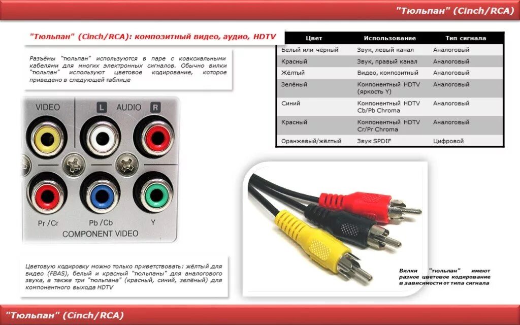 Левый канал звук. Разъем RCA сигнал. Разъем тюльпан распиновка. Разъем тюльпан RCA плюс минус цвета. Разъём тюльпан цветовая маркировка.