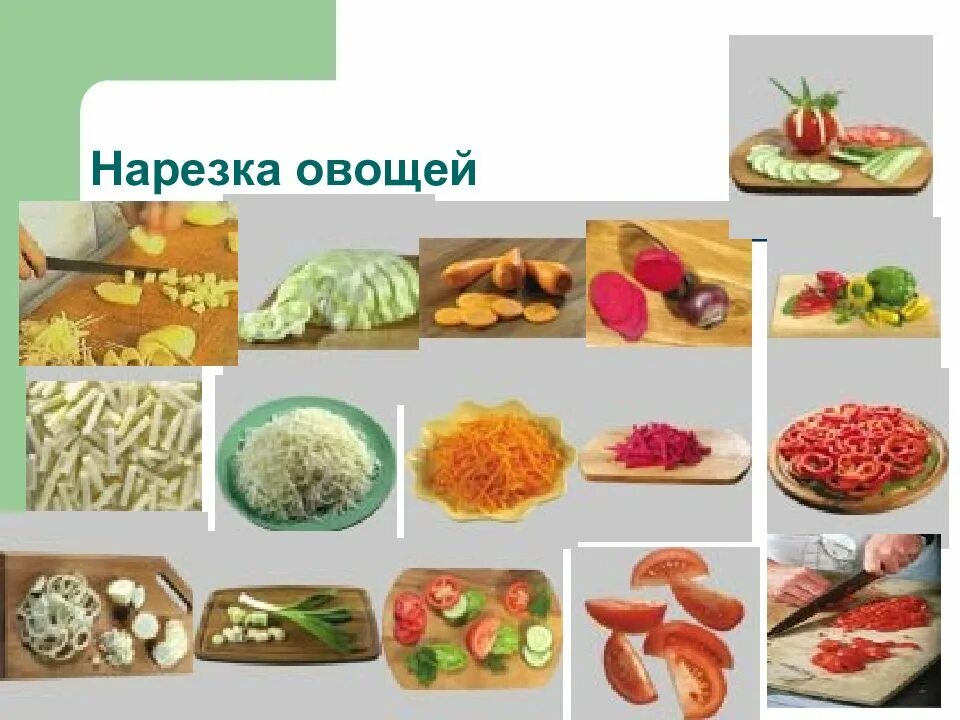 Технология продуктов питания из растительных. Нарезка овощей. Формы для нарезки овощей и фруктов. Форма нарезки продуктов. Способы нарезки сырых овощей.