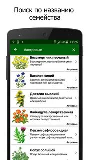 Программа как распознать растение