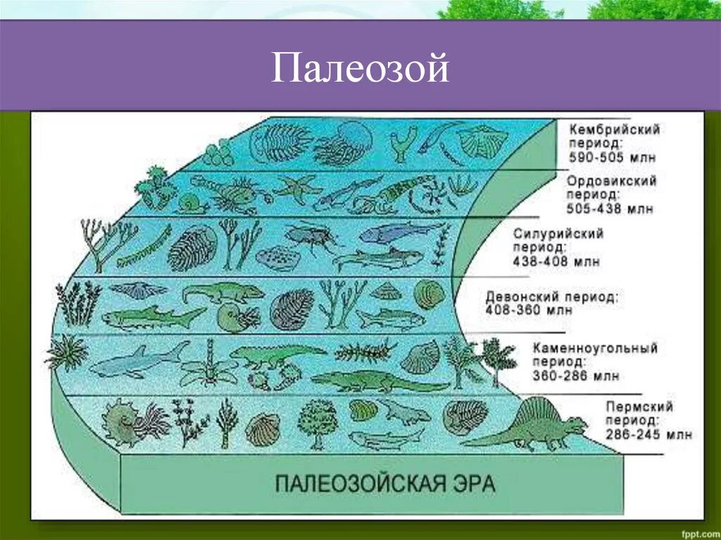 Геологическая эра палеозойская