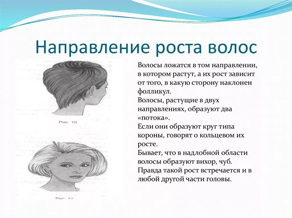 Характеристика роста волос. Направление роста волос на голове. направленность роста волос. направление роста волос на голове у женщин. направление роста волос на голове человека.