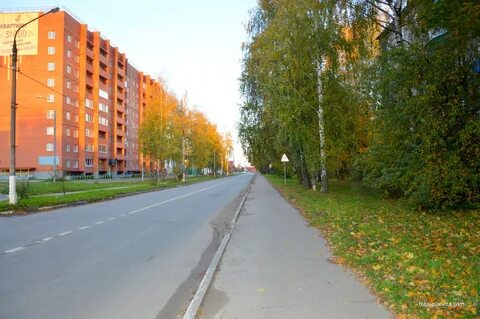 Талдомский северный