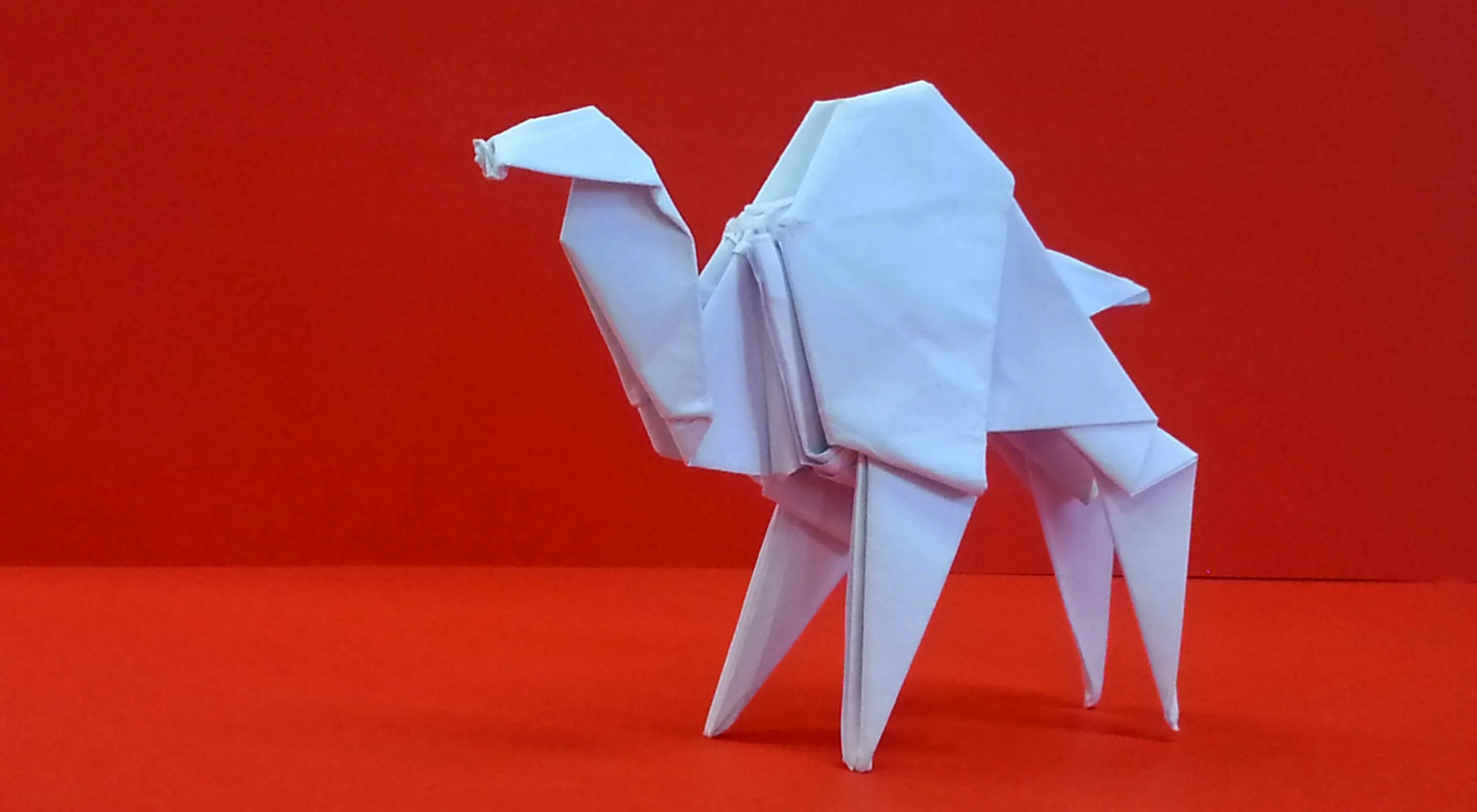 Оригами. Обычное оригами. Крутые оригами. Оригами корова.