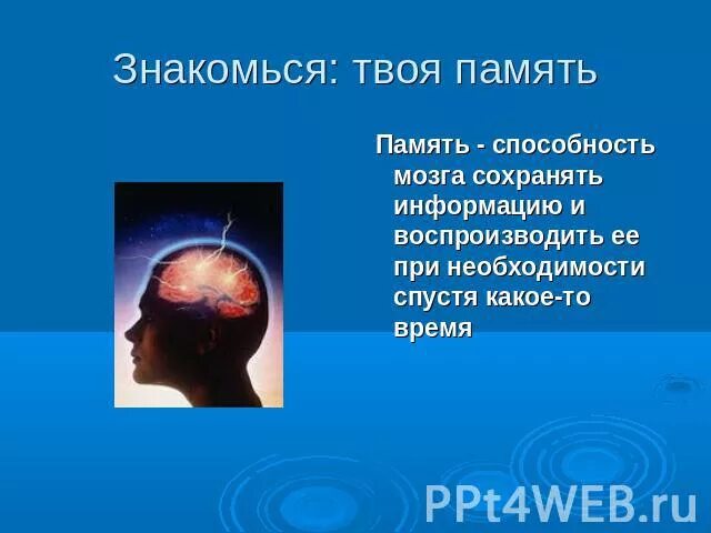 Высшая память. Сообщение про память человека. Презентация на тему память человека. Сообщение на тему память человека. Память 4 класс.