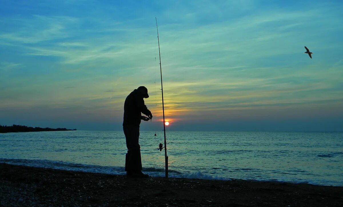 удочка. спортивная рыбалка. ловить перед. рыбаки в море. рыбалка летом.