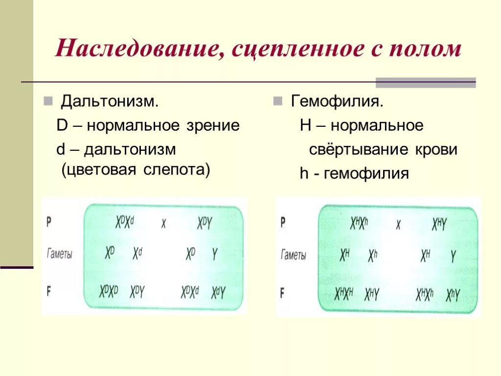 Наследование сцепленное с полом гемофилия и дальтонизм. Дальтонизм наследование сцепленное с полом. Наследование признаков сцепленных с полом. Наследование дальтонизма и гемофилии.