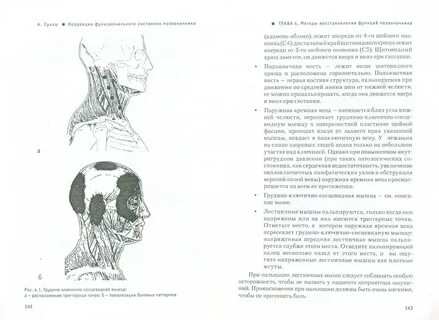 Коррекция функциональных состояний