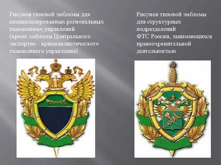 Центральное экспертно таможенное управление. Эмблема таможенных органов. герб правоохранительных органов. центральное таможенное управление логотип. правоохранительные органы рф герб.