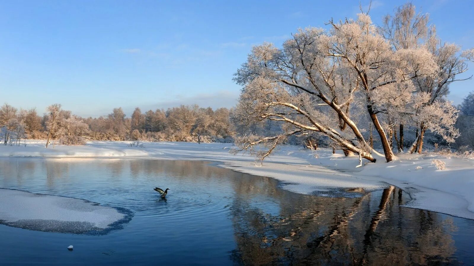 Зима комсомольское озеро. Незамерзающий зимой. Парк изумрудный барнаул. Незамерзающий ручей в оймяконе. Замерзшая река.