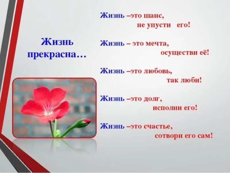 Час 9 класс. Классный час по профилактике суицида. жизнь прекрасна профилактика суицида. классный час жизнь прекрасна. классный час по суидсыду.
