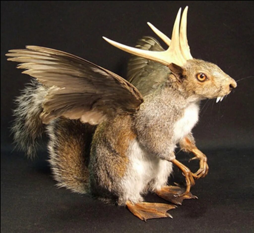 Мышь слепыш. Саблезубая мышь. Малый оленёк канчиль. Баварский вольпертингер. Оленек канчиль.