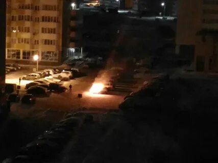 Подслушано на лесобазе