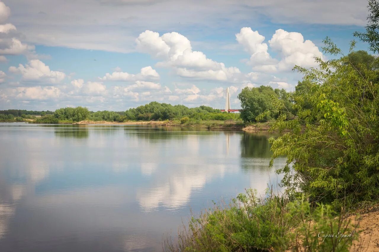 бассейн реки ока. волга исток и устье. бассейн реки обь на карте. пойма реки ока. ока относится к бассейну.